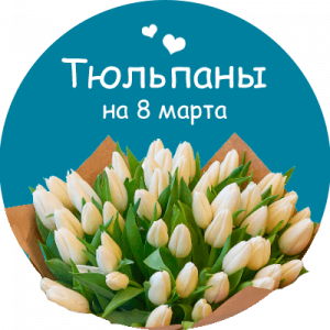 Купить тюльпаны в Нарьян-Маре